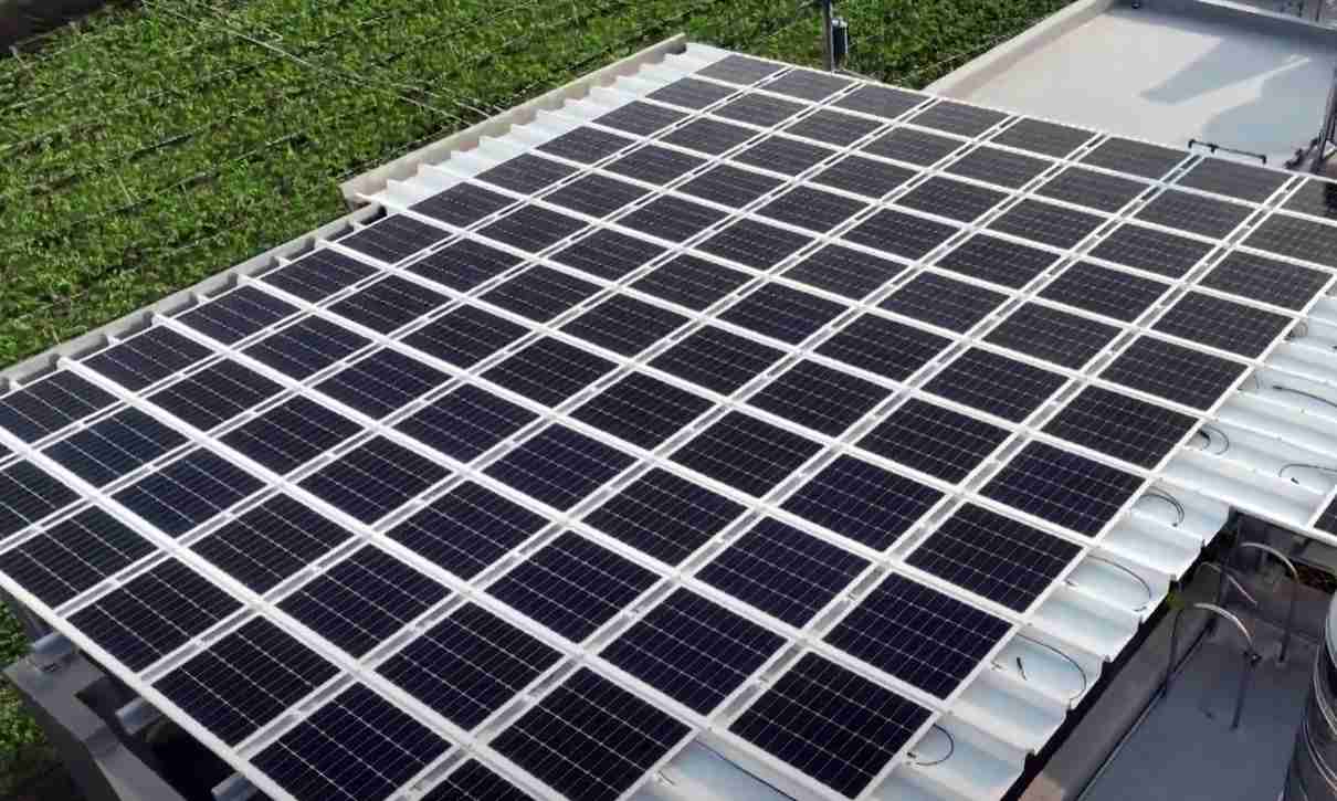 欧陆注册SunSteel光电浪板升级双玻结构，，以提升机械负载强度及气候耐候度，，，可广泛运用于多元场域